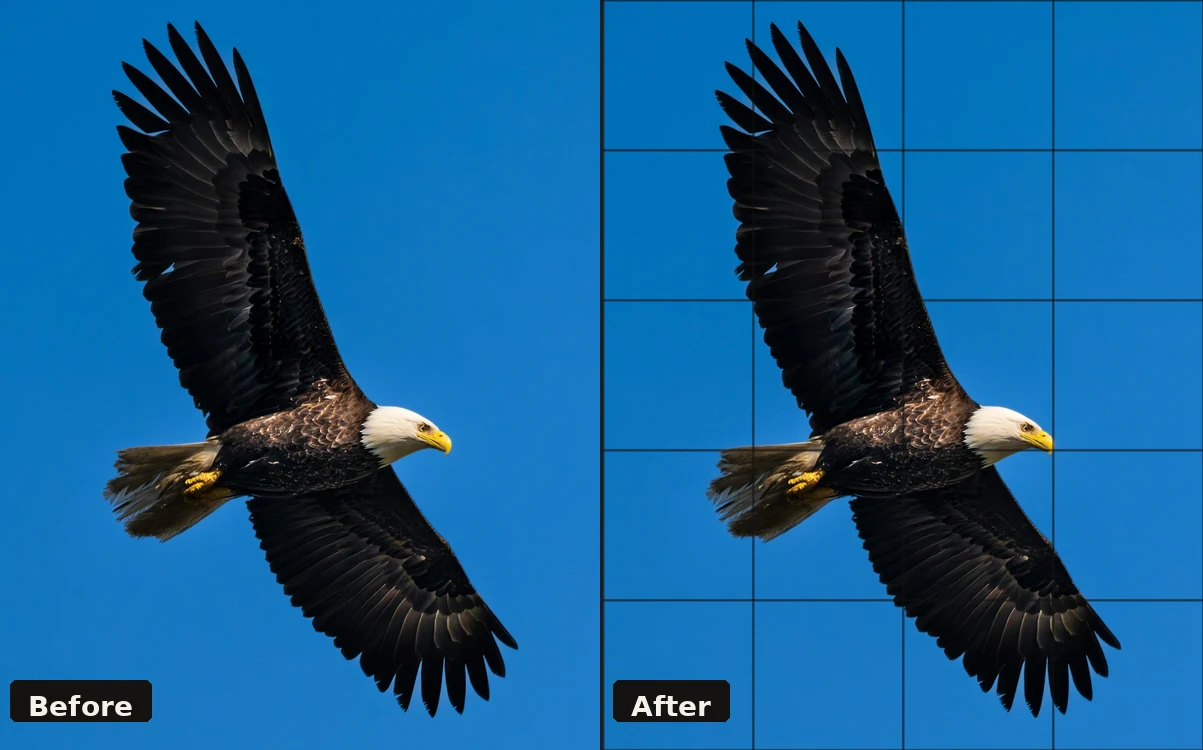 Before and after example — reference photo with grid overlay applied