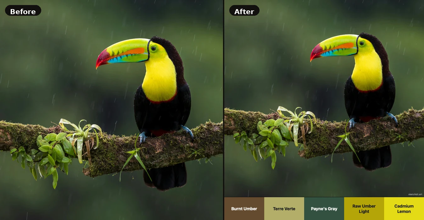Before and after example — original photo with extracted colour palette