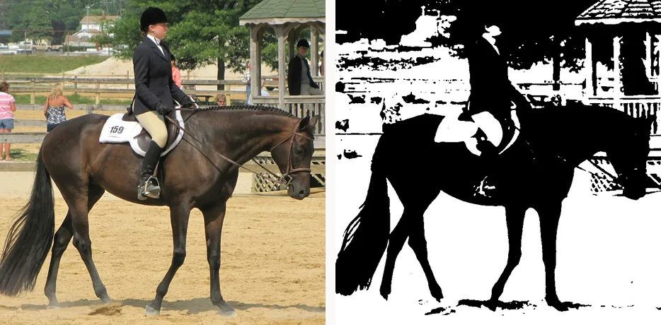 A photograph of a horse and rider next to its two-value notan reduction, where the dark horse reads as one connected black mass against the light arena
