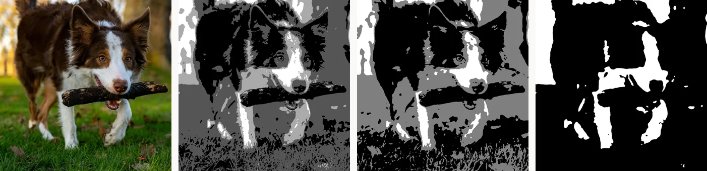 A photograph of a dog carrying a stick, shown reduced to four tones, then three, then two, with the shapes simplifying at each step