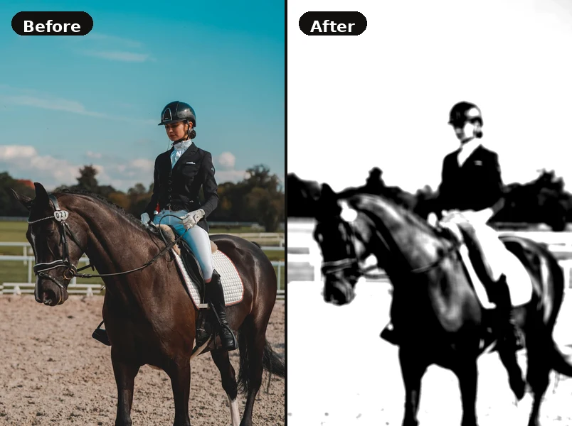 Before and after example — original photo simplified for drawing reference