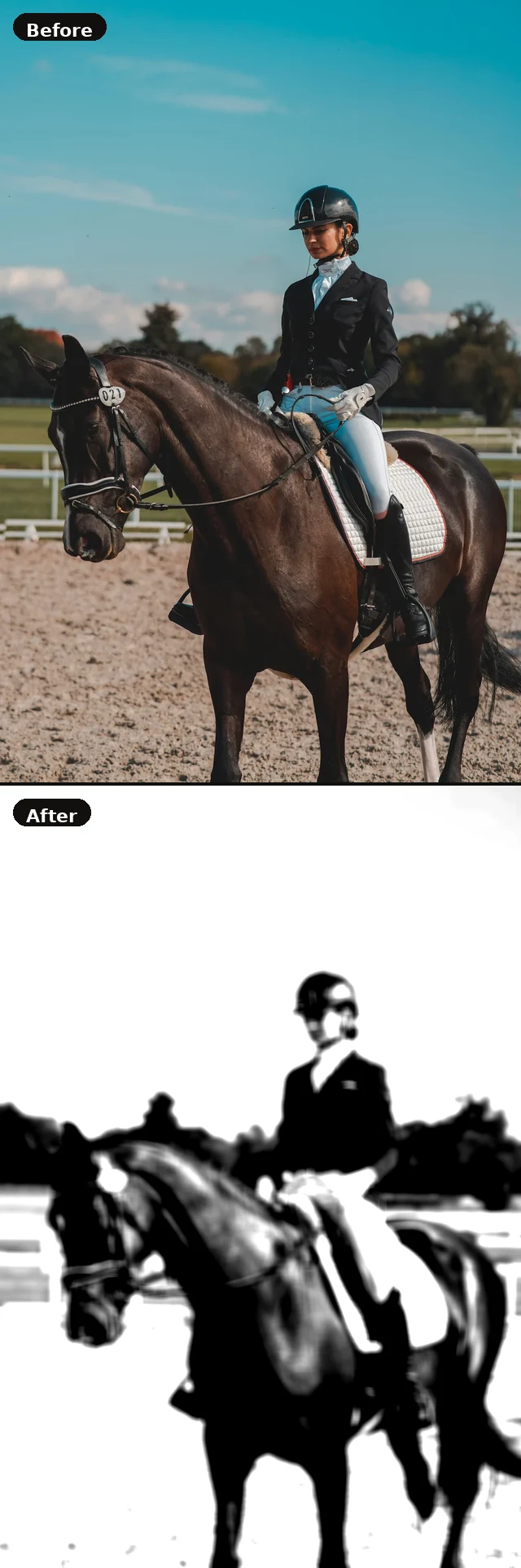 Before and after example — original photo simplified for drawing reference